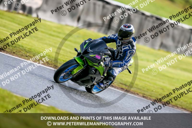 Oulton Park 14th March 2020;PJ Motorsport Photography 2020;anglesey;brands hatch;cadwell park;croft;donington park;enduro digital images;event digital images;eventdigitalimages;mallory;no limits;oulton park;peter wileman photography;racing digital images;silverstone;snetterton;trackday digital images;trackday photos;vmcc banbury run;welsh 2 day enduro